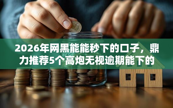 2026年网黑能能秒下的口子，鼎力推荐5个高炮无视逾期能下的口子