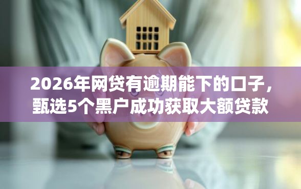 2026年网贷有逾期能下的口子，甄选5个黑户成功获取大额贷款的app