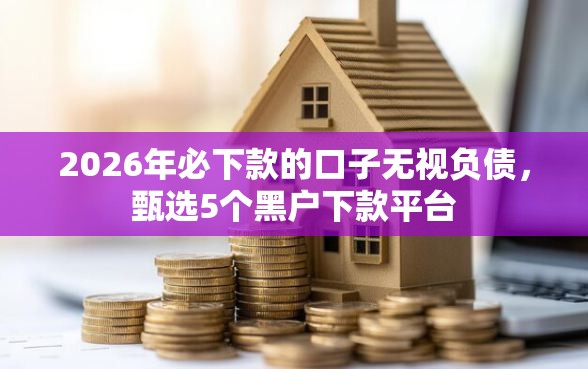 2026年必下款的口子无视负债，甄选5个黑户下款平台