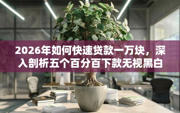 2026年如何快速贷款一万块，深入剖析五个百分百下款无视黑白户网贷