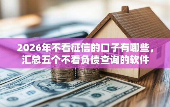 2026年不看征信的口子有哪些，汇总五个不看负债查询的软件