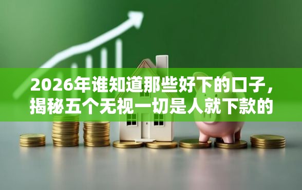 2026年谁知道那些好下的口子，揭秘五个无视一切是人就下款的平台