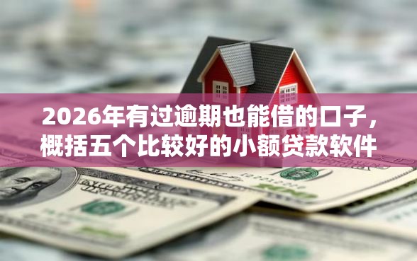 2026年有过逾期也能借的口子，概括五个比较好的小额贷款软件