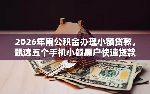 2026年用公积金办理小额贷款，甄选五个手机小额黑户快速贷款平台