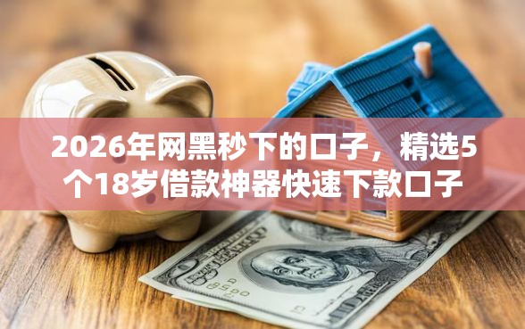 2026年网黑秒下的口子，精选5个18岁借款神器快速下款口子