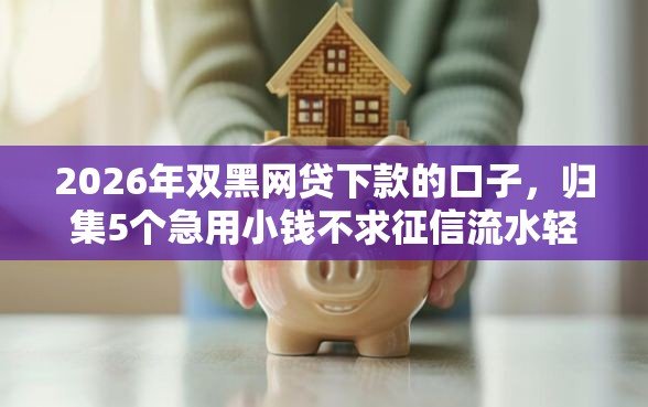 2026年双黑网贷下款的口子，归集5个急用小钱不求征信流水轻松贷的口子