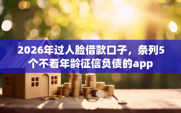2026年过人脸借款口子，条列5个不看年龄征信负债的app