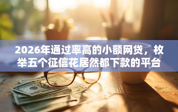 2026年通过率高的小额网贷，枚举五个征信花居然都下款的平台