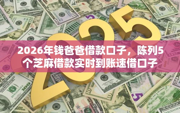 2026年钱爸爸借款口子，陈列5个芝麻借款实时到账速借口子