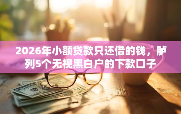 2026年小额贷款只还借的钱，胪列5个无视黑白户的下款口子