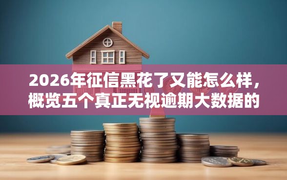 2026年征信黑花了又能怎么样，概览五个真正无视逾期大数据的网贷口子