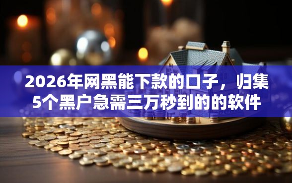 2026年网黑能下款的口子，归集5个黑户急需三万秒到的的软件