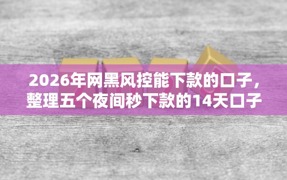 2026年网黑风控能下款的口子，整理五个夜间秒下款的14天口子