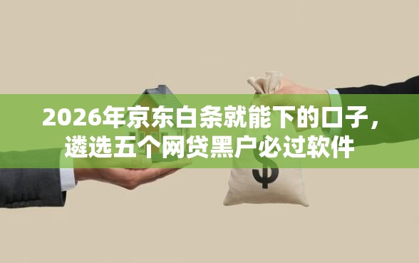 2026年京东白条就能下的口子，遴选五个网贷黑户必过软件