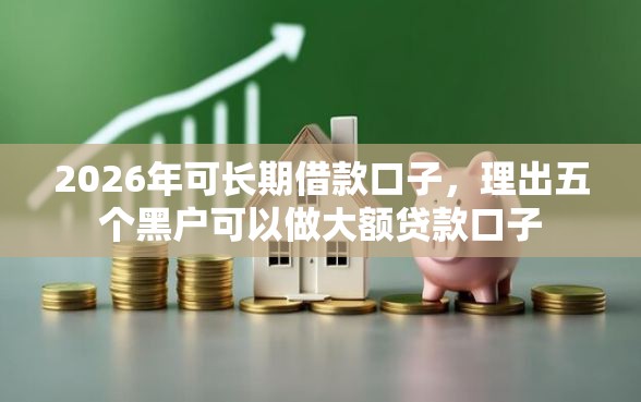 2026年可长期借款口子，理出五个黑户可以做大额贷款口子