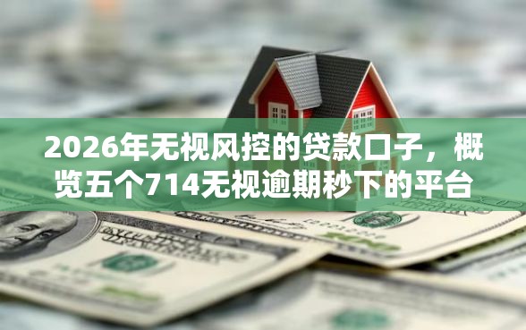 2026年无视风控的贷款口子，概览五个714无视逾期秒下的平台