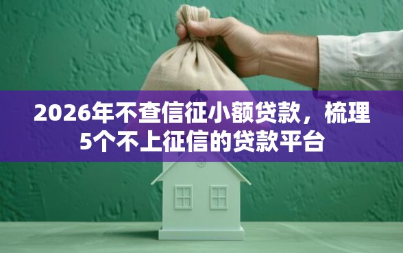 2026年不查信征小额贷款，梳理5个不上征信的贷款平台