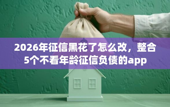 2026年征信黑花了怎么改，整合5个不看年龄征信负债的app