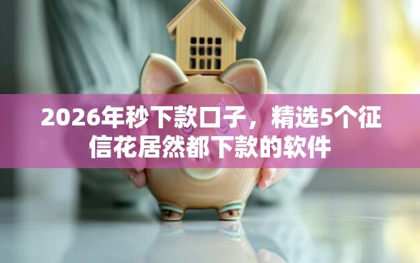 2026年秒下款口子，精选5个征信花居然都下款的软件
