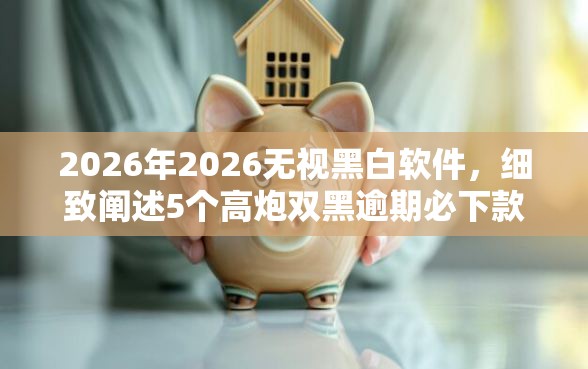 2026年2026无视黑白软件，细致阐述5个高炮双黑逾期必下款口子