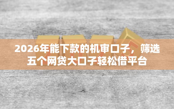 2026年能下款的机审口子，筛选五个网贷大口子轻松借平台