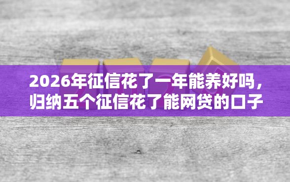 2026年征信花了一年能养好吗，归纳五个征信花了能网贷的口子