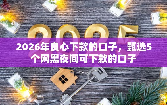 2026年良心下款的口子，甄选5个网黑夜间可下款的口子