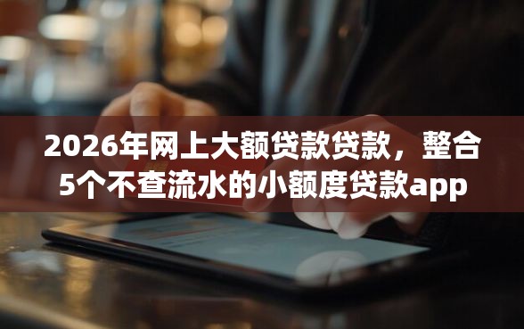 2026年网上大额贷款贷款，整合5个不查流水的小额度贷款app