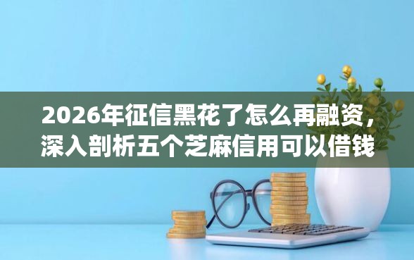 2026年征信黑花了怎么再融资，深入剖析五个芝麻信用可以借钱的app