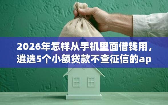 2026年怎样从手机里面借钱用，遴选5个小额贷款不查征信的app