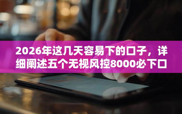 2026年这几天容易下的口子，详细阐述五个无视风控8000必下口子