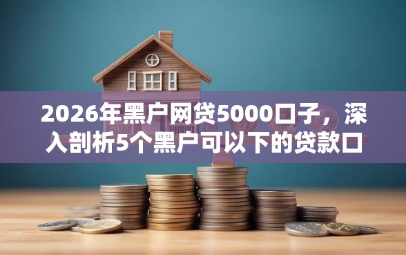 2026年黑户网贷5000口子，深入剖析5个黑户可以下的贷款口子