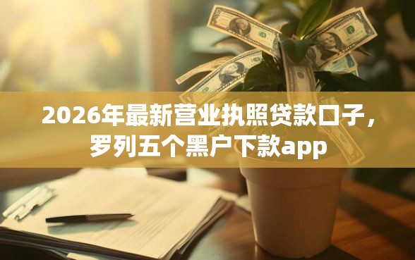 2026年最新营业执照贷款口子，罗列五个黑户下款app