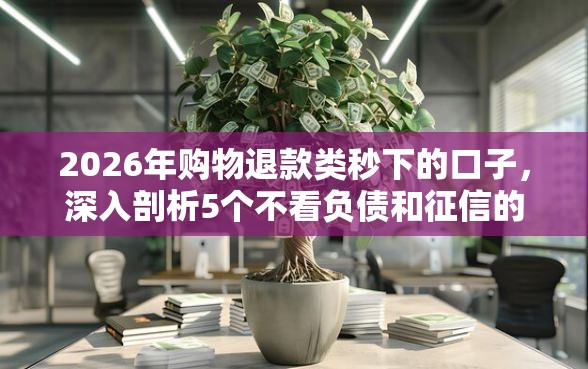 2026年购物退款类秒下的口子，深入剖析5个不看负债和征信的口子
