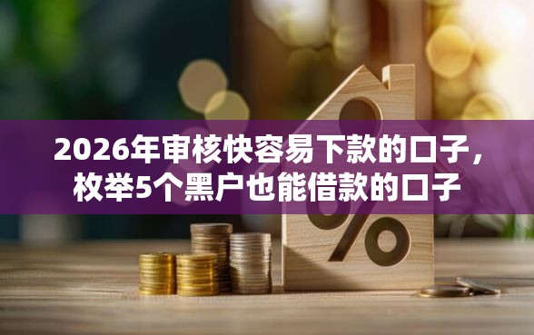 2026年审核快容易下款的口子，枚举5个黑户也能借款的口子