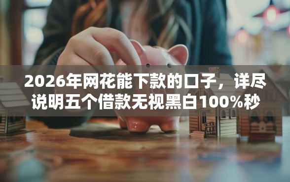 2026年网花能下款的口子，详尽说明五个借款无视黑白100%秒过