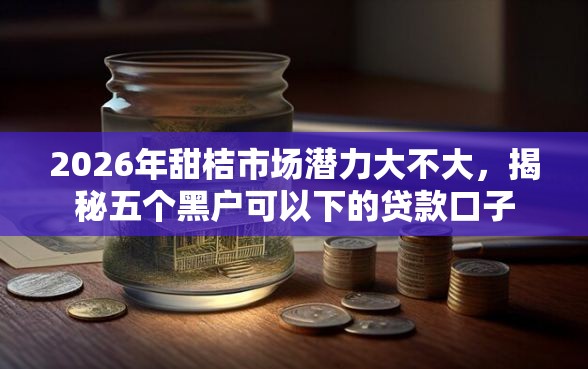 2026年甜桔市场潜力大不大，揭秘五个黑户可以下的贷款口子