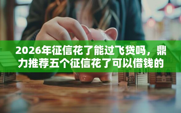 2026年征信花了能过飞贷吗，鼎力推荐五个征信花了可以借钱的网贷口子