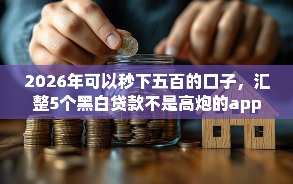 2026年可以秒下五百的口子，汇整5个黑白贷款不是高炮的app