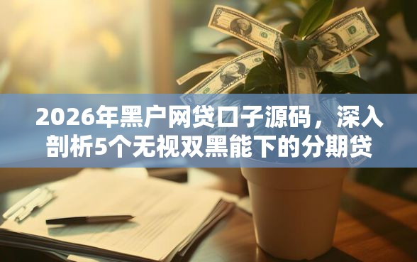 2026年黑户网贷口子源码，深入剖析5个无视双黑能下的分期贷