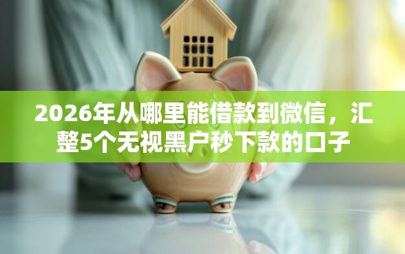 2026年从哪里能借款到微信，汇整5个无视黑户秒下款的口子