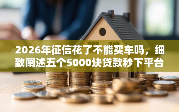 2026年征信花了不能买车吗，细致阐述五个5000块贷款秒下平台