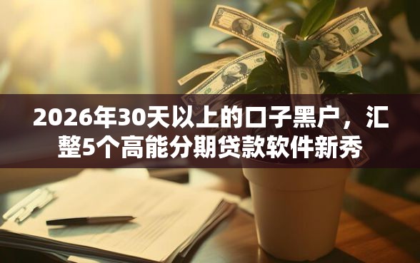 2026年30天以上的口子黑户，汇整5个高能分期贷款软件新秀