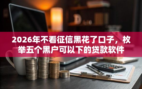 2026年不看征信黑花了口子，枚举五个黑户可以下的贷款软件