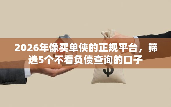 2026年像买单侠的正规平台，筛选5个不看负债查询的口子