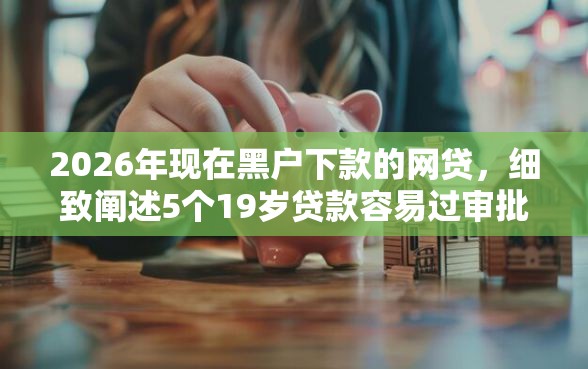 2026年现在黑户下款的网贷，细致阐述5个19岁贷款容易过审批的平台