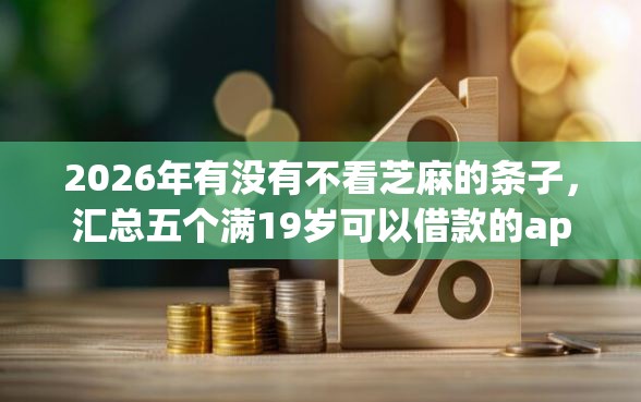 2026年有没有不看芝麻的条子，汇总五个满19岁可以借款的app