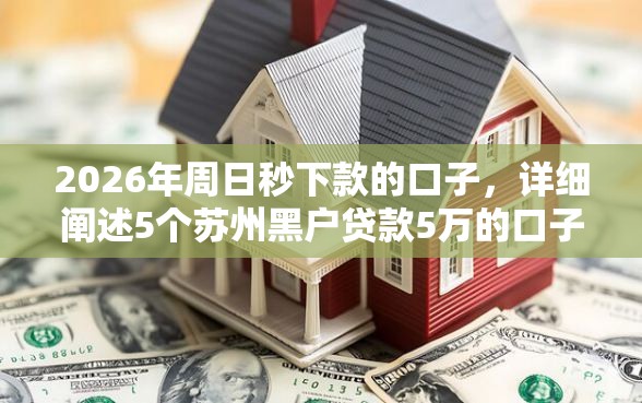 2026年周日秒下款的口子，详细阐述5个苏州黑户贷款5万的口子