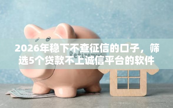 2026年稳下不查征信的口子，筛选5个贷款不上诚信平台的软件