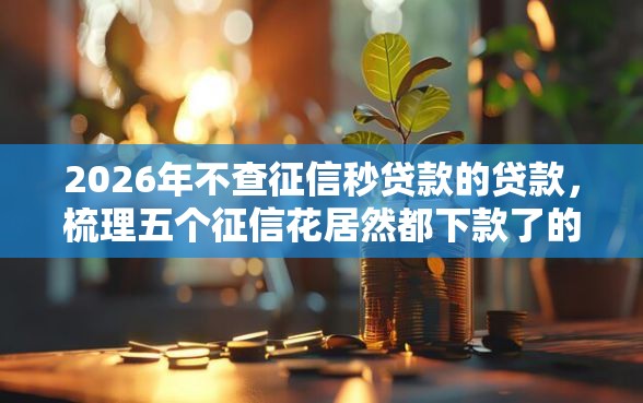 2026年不查征信秒贷款的贷款，梳理五个征信花居然都下款了的口子